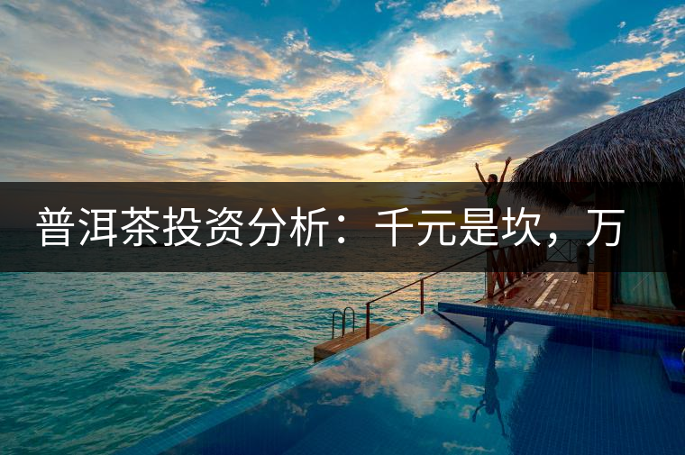 普洱茶投資分析：千元是坎，萬元是坑