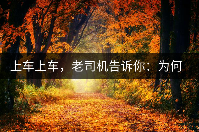 上車上車，老司機(jī)告訴你：為何明前茶貴如金