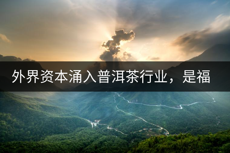 外界資本涌入普洱茶行業(yè)，是福還是禍？