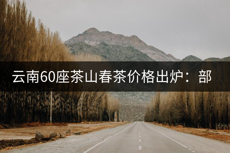云南60座茶山春茶價格出爐：部分山頭茶漲價超30%