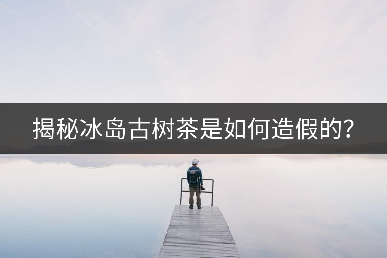 揭秘冰島古樹(shù)茶是如何造假的？