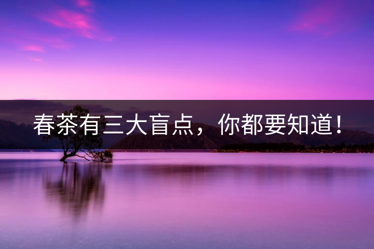 春茶有三大盲點，你都要知道！