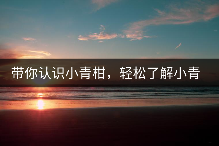 帶你認識小青柑，輕松了解小青柑的前世今生