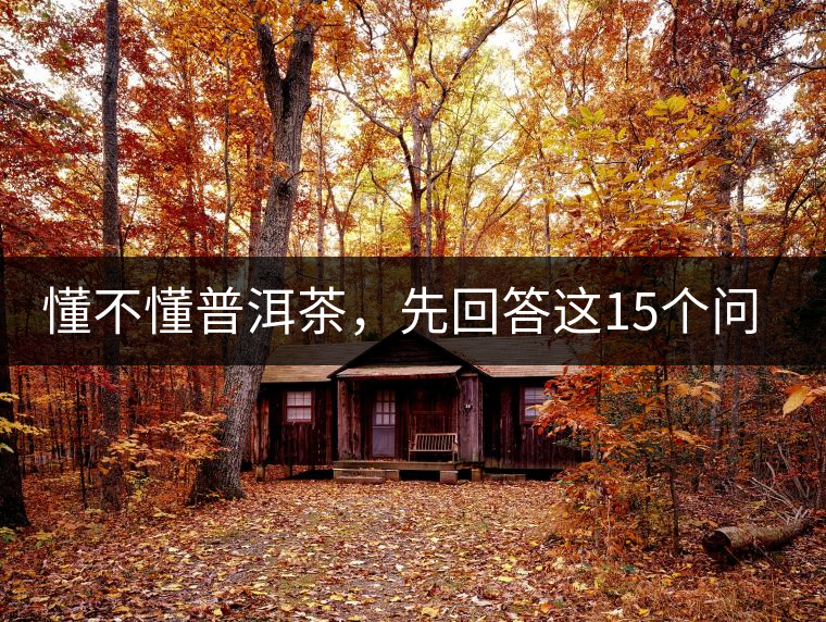 懂不懂普洱茶，先回答這15個(gè)問題試試？
