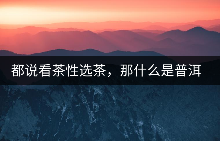 都說看茶性選茶，那什么是普洱茶的“茶性”呢？