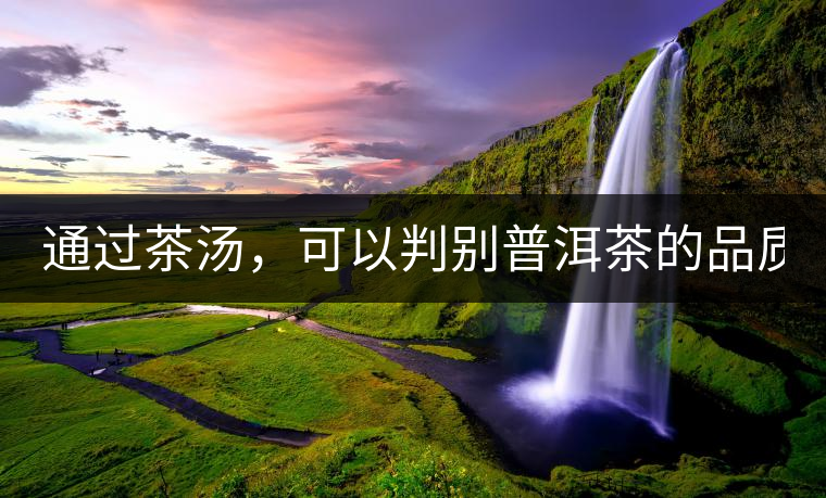 通過茶湯，可以判別普洱茶的品質(zhì)嗎？