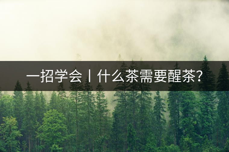 一招學(xué)會丨什么茶需要醒茶？