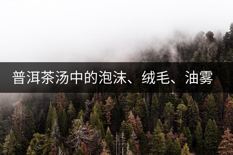 普洱茶湯中的泡沫、絨毛、油霧、絮狀物……原來是這些東西！