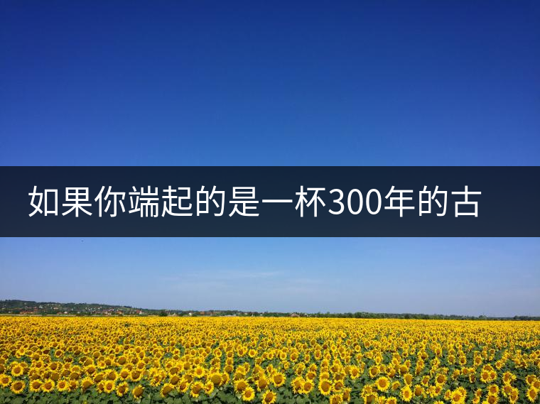 如果你端起的是一杯300年的古樹(shù)茶，那會(huì)是一種怎樣的心境？