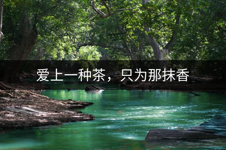 愛上一種茶，只為那抹香