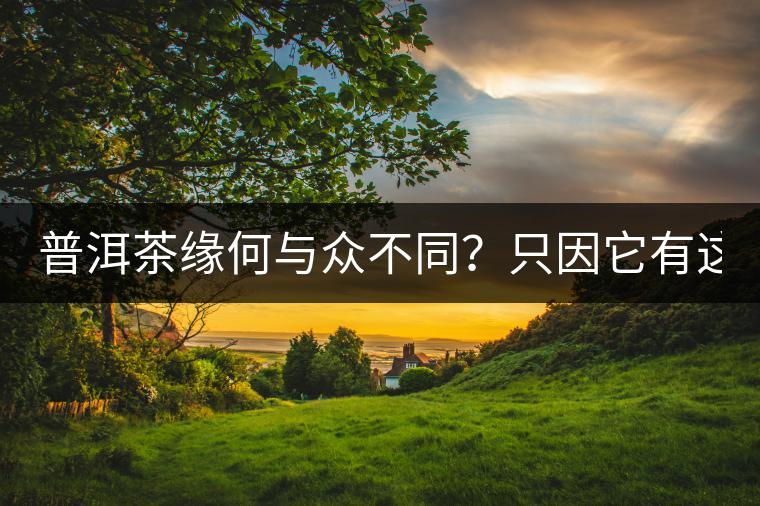 普洱茶緣何與眾不同？只因它有這5個“唯一”