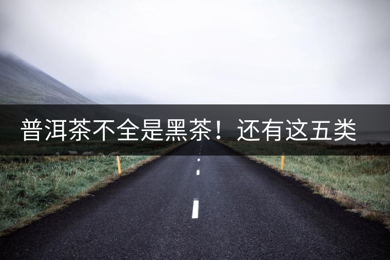 普洱茶不全是黑茶！還有這五類茶，現(xiàn)在知道還不算晚