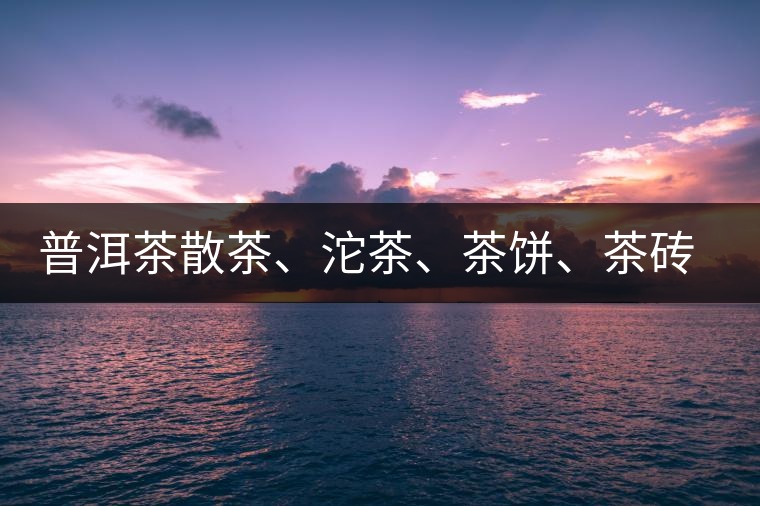 普洱茶散茶、沱茶、茶餅、茶磚哪種更好？