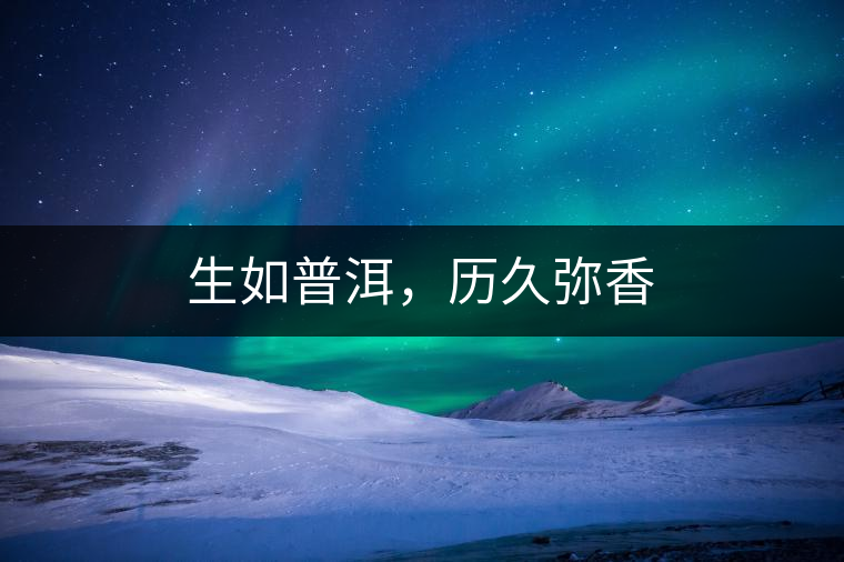 生如普洱，歷久彌香