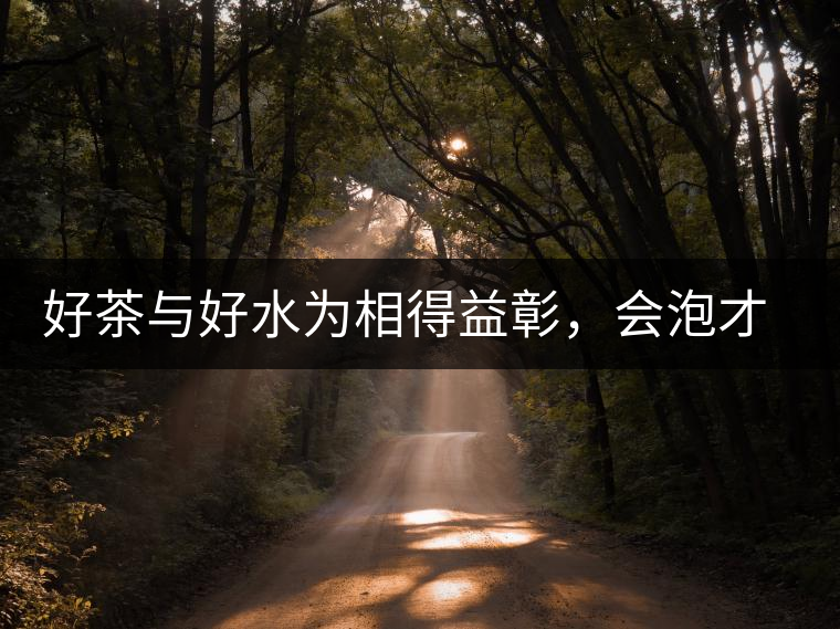 好茶與好水為相得益彰，會泡才是靈魂
