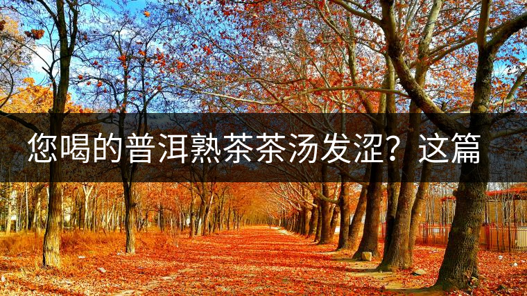 您喝的普洱熟茶茶湯發(fā)澀？這篇文章告訴您真正的原因