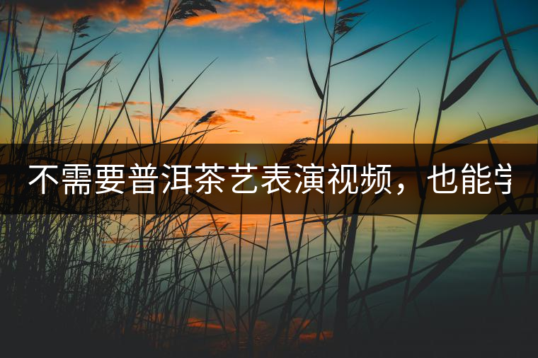 不需要普洱茶藝表演視頻，也能學(xué)會的茶藝！