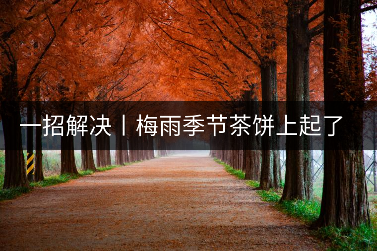 一招解決丨梅雨季節(jié)茶餅上起了白霜白點怎么辦？