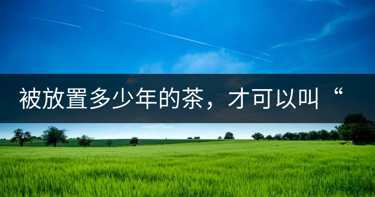 被放置多少年的茶，才可以叫“老茶”？別一問三不知，還說你愛茶