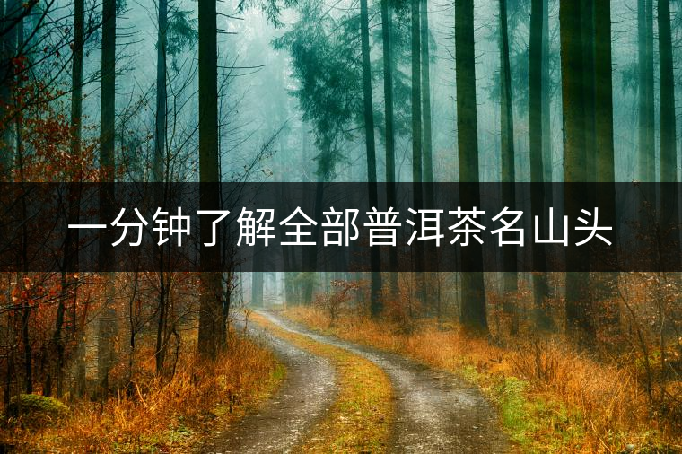 一分鐘了解全部普洱茶名山頭 一分鐘了解全部普洱茶名山頭