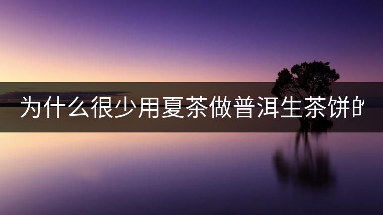 為什么很少用夏茶做普洱生茶餅的？