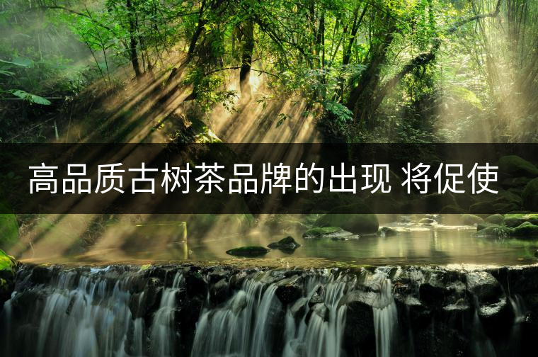 高品質(zhì)古樹茶品牌的出現(xiàn) 將促使行業(yè)越來越規(guī)范 高品質(zhì)古樹茶品牌的出現(xiàn) 將促使行業(yè)越來越規(guī)范