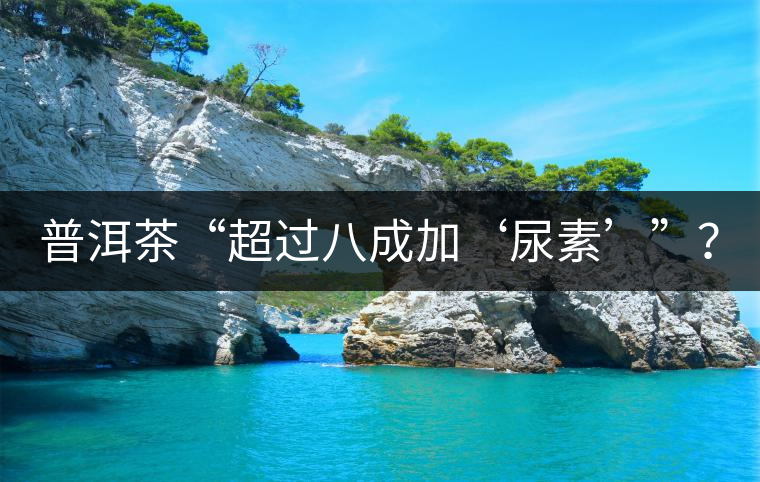 普洱茶“超過八成加‘尿素’”？