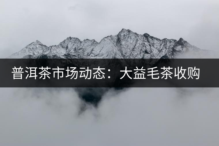普洱茶市場(chǎng)動(dòng)態(tài)：大益毛茶收購價(jià)跌兩成？