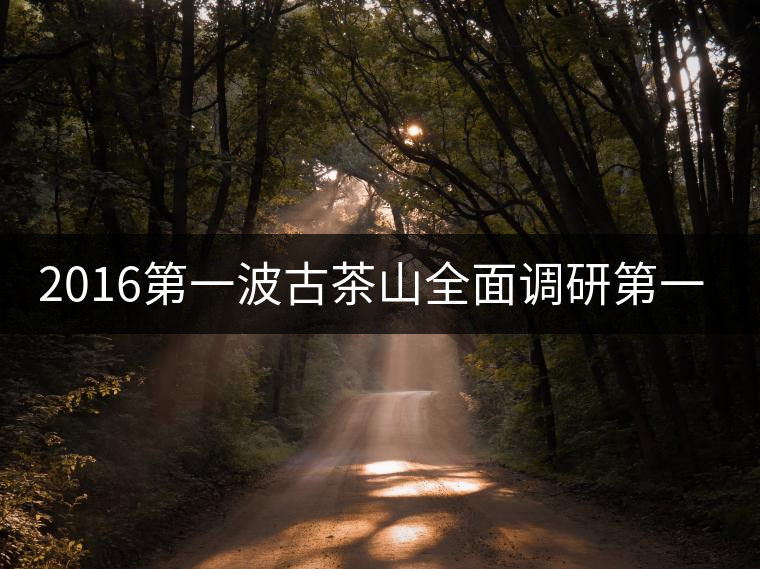 2016第一波古茶山全面調(diào)研第一站——易武