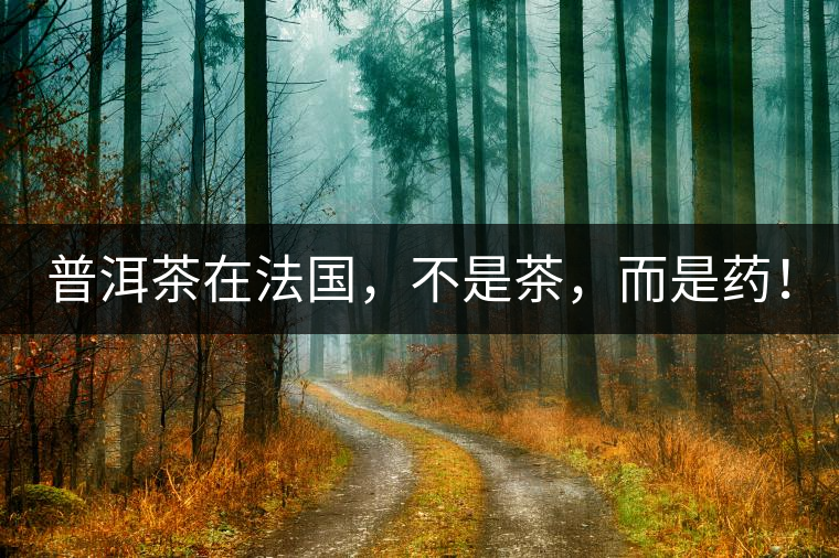 普洱茶在法國，不是茶，而是藥！