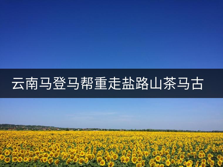 云南馬登馬幫重走鹽路山茶馬古道 為茶馬古道申報世界自然遺產拍攝紀錄片