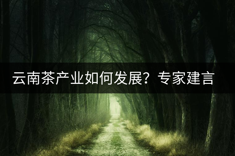 云南茶產(chǎn)業(yè)如何發(fā)展？專家建言：產(chǎn)業(yè)復(fù)興助脫貧