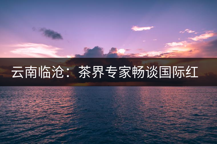 云南臨滄：茶界專(zhuān)家暢談國(guó)際紅茶助推紅茶產(chǎn)業(yè)創(chuàng)新發(fā)展