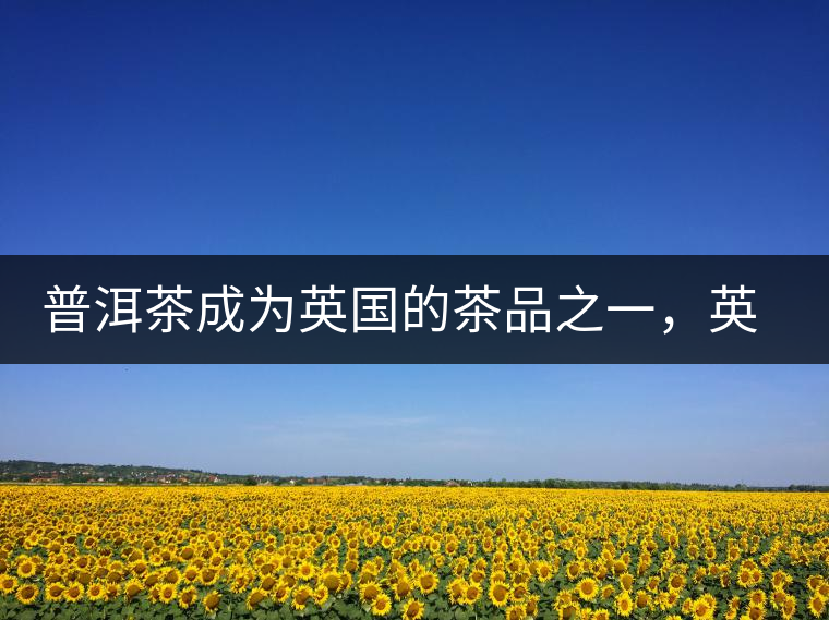 普洱茶成為英國(guó)的茶品之一，英國(guó)雜志給出7大理由