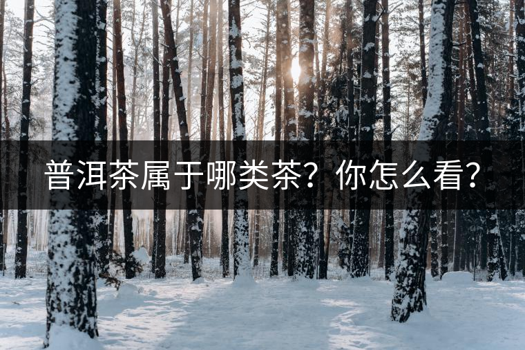 普洱茶屬于哪類(lèi)茶？你怎么看？