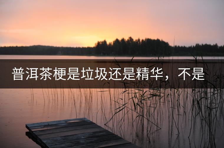 普洱茶梗是垃圾還是精華，不是一個人說的算