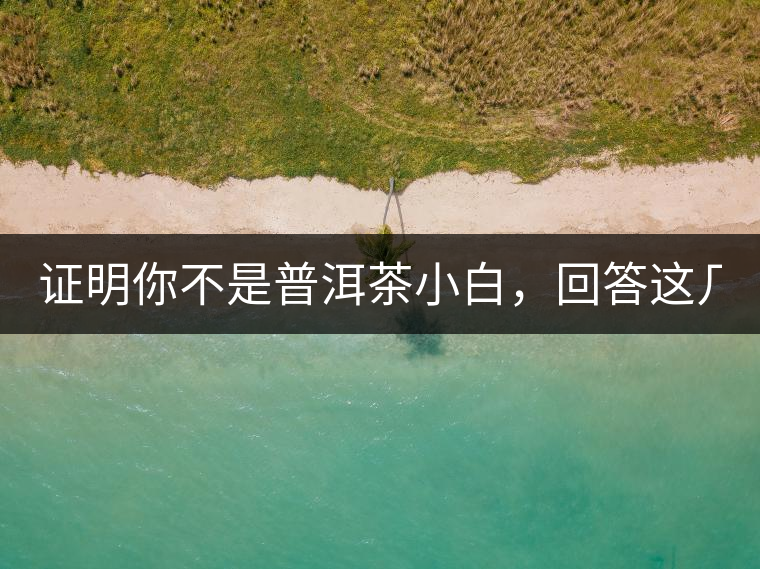 證明你不是普洱茶小白，回答這幾個問題先！