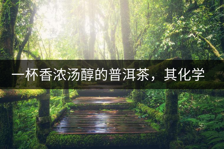 一杯香濃湯醇的普洱茶，其化學(xué)成分是怎樣的？