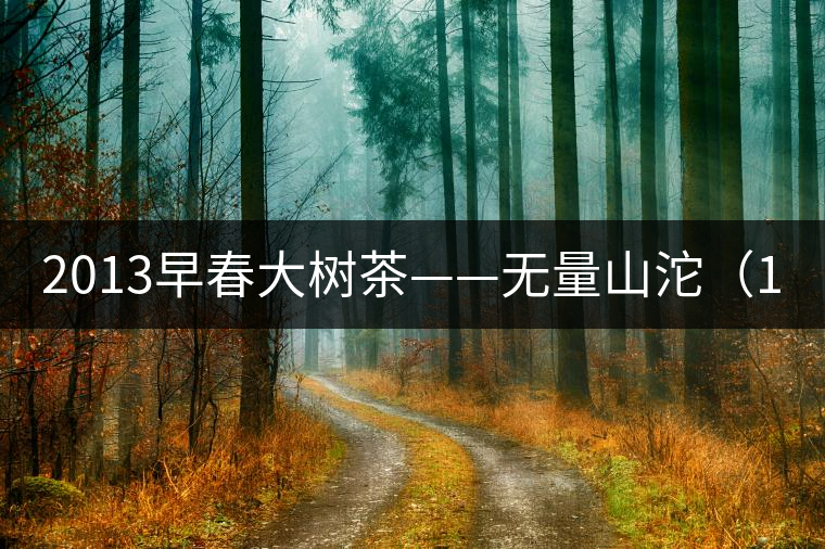 2013早春大樹茶——無量山沱（100）克