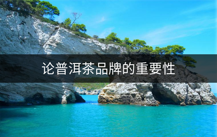 論普洱茶品牌的重要性