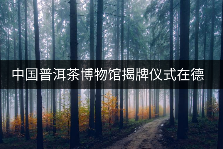 中國(guó)普洱茶博物館揭牌儀式在德宏芒市舉行 中國(guó)普洱茶博物館揭牌儀式在德宏芒市舉行