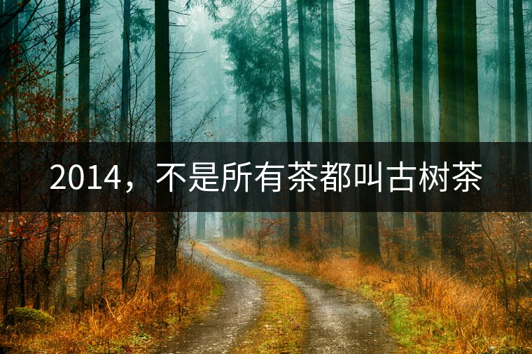 2014，不是所有茶都叫古樹(shù)茶