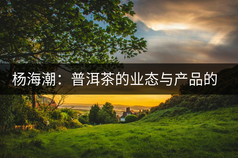 楊海潮：普洱茶的業(yè)態(tài)與產(chǎn)品的同質(zhì)化