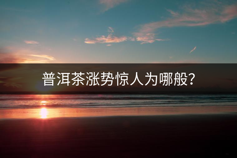 普洱茶漲勢驚人為哪般？