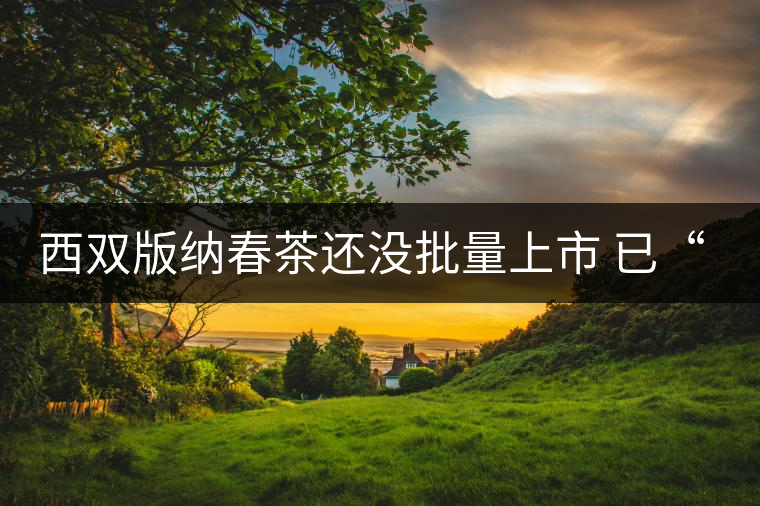 西雙版納春茶還沒批量上市 已“漲”聲四起 西雙版納春茶還沒批量上市 已“漲”聲四起