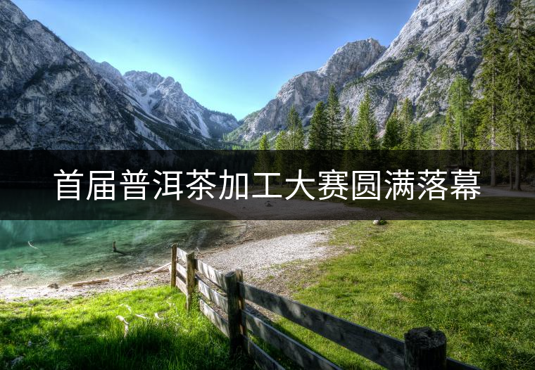 首屆普洱茶加工大賽圓滿落幕 首屆普洱茶加工大賽圓滿落幕