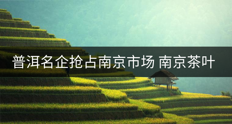 普洱名企搶占南京市場 南京茶葉消費日趨多元化 普洱名企搶占南京市場 南京茶葉消費日趨多元化