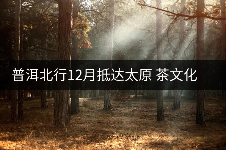 普洱北行12月抵達(dá)太原 茶文化交流再掀高潮