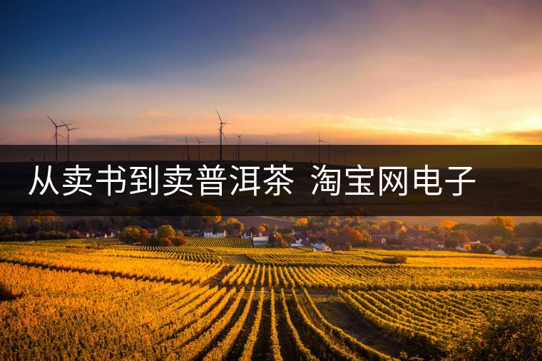 從賣書到賣普洱茶 淘寶網(wǎng)電子商務(wù)改變?nèi)松? alt=