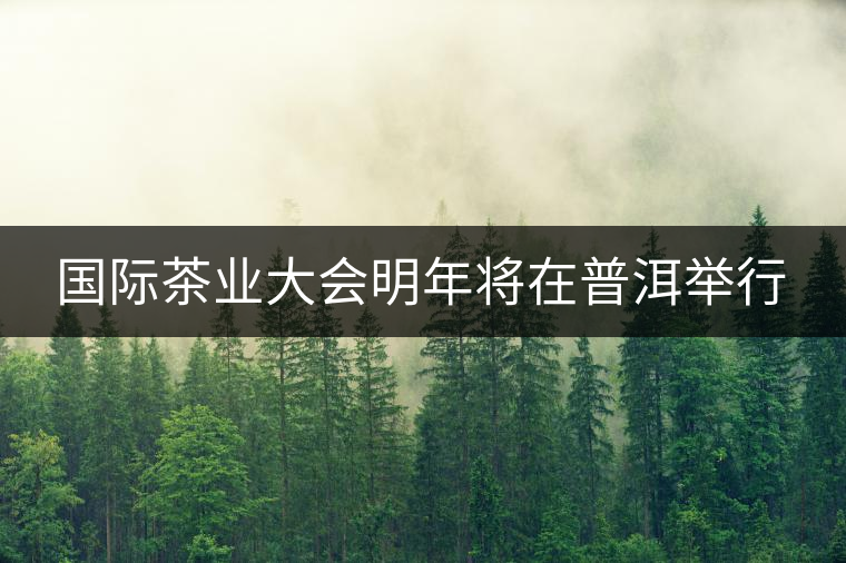 國際茶業(yè)大會明年將在普洱舉行